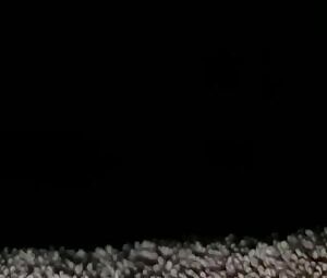 My little cock gobbler! 🤤