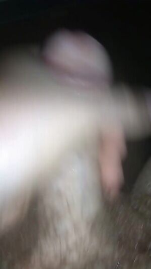 Hard lubed up dick :)