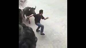 Guy gets torn apart by a bull