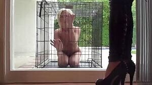 After a long cold night outside, she's happy to see her mistress