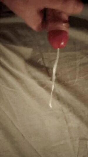 Some days worth of cum