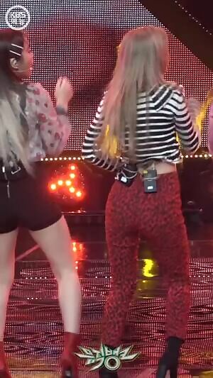 Red Velvet - Seulgi/Wendy