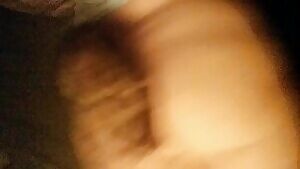 Playful Short Tail 😺🦁💋