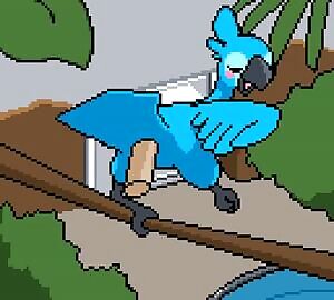 Bluebird bliss
