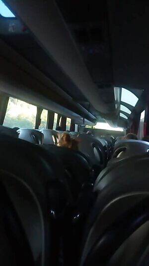 Handjob in the bus: Done ✔