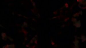 Mario Salieri: Fashion and Glamour