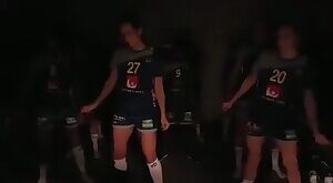 Swedish Handball Team