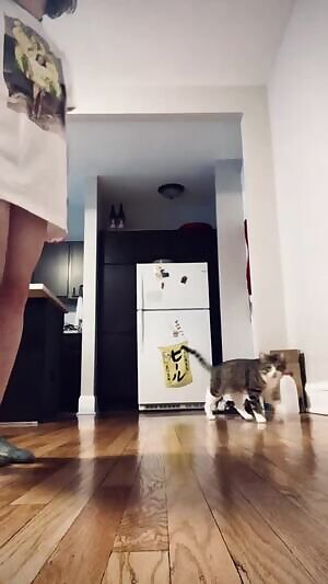 Kitty really wanted to join me in the fun 😸