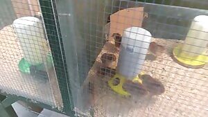 She takes it just right