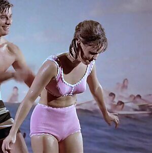 Sally Field - Gidget