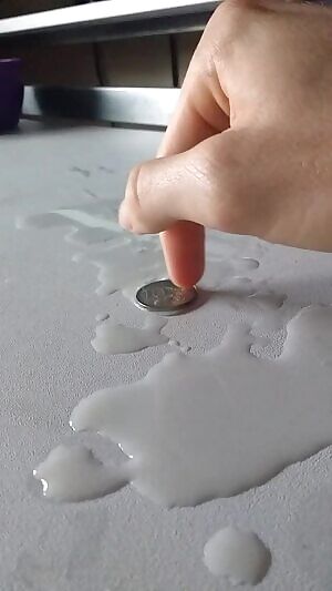 Coin Trick