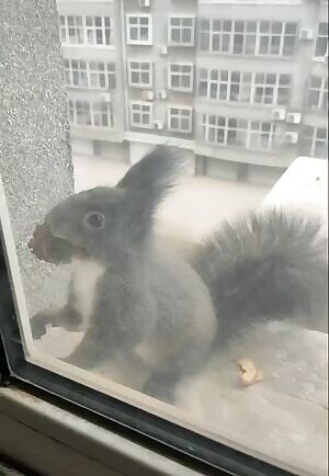 Skinny lad won’t be skinny for long if he’s bartering like this