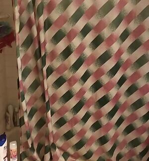 reshly showered bush for you all! 😊