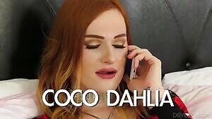 Coco Dahlia - Panty Hose