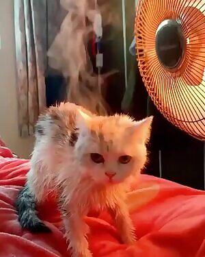 Drying off