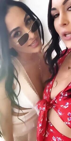 The Bella twins