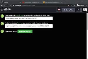 Here' s a little video to show you have the Videofck tool can be used .