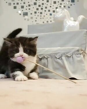 Haven’t posted here in a long time but you were all so nice my first time so here’s another load!