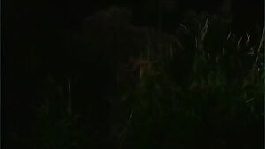 Krista Hefner Fire Worms 2016