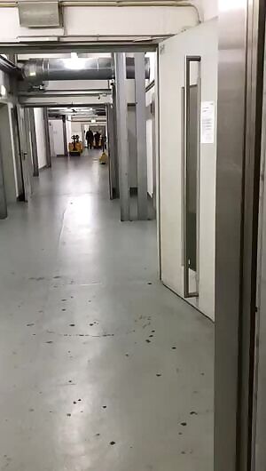 Love In An Elevator...