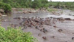 Tumblr defending safe space fom cis white male. 2017 colorized