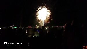 ireworks & Tits for Tuesday! 🎆🌹